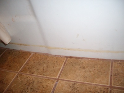 Bathtub Grout Lines