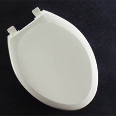 toilet seat replacement