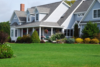 lawn care stpaul minneapolis Identifying 4 Common Lawn Care Problems